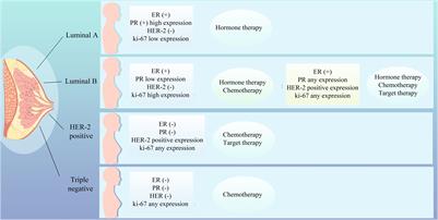 Spatial transcriptomics: a new frontier in accurate localization of breast cancer diagnosis and treatment